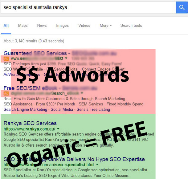 SERP Search Engine Results Page