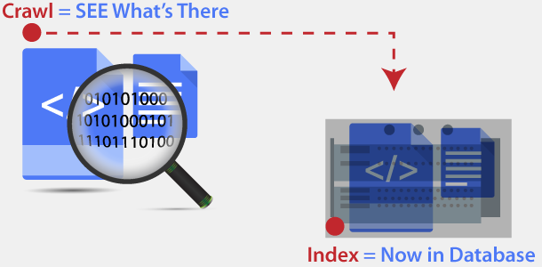 Search Engine Crawl vs Index process