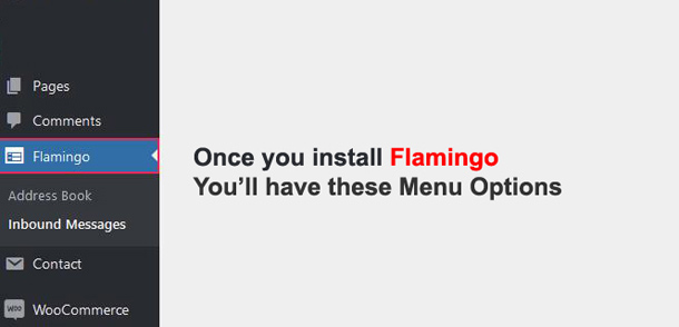 Flamingo Plugin WordPress Menu Options