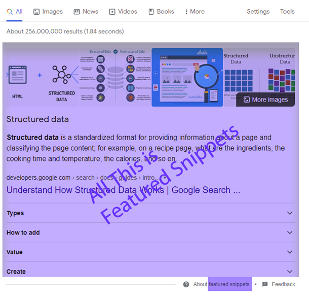 sample Featured Snippets search results