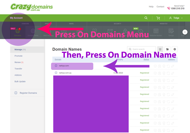 Crazy Domains Domain Names Menu option