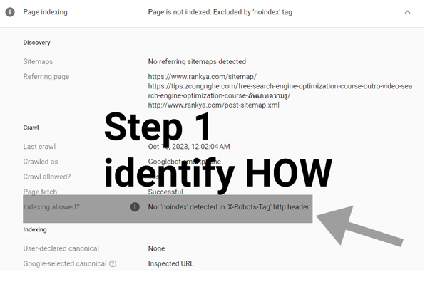 how to identify the cause of noindex robot directive