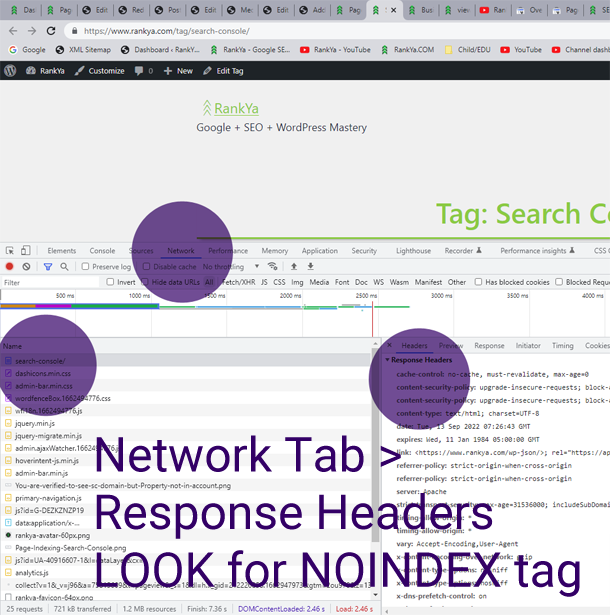 web developer toolbar Network Response Headers noindex
