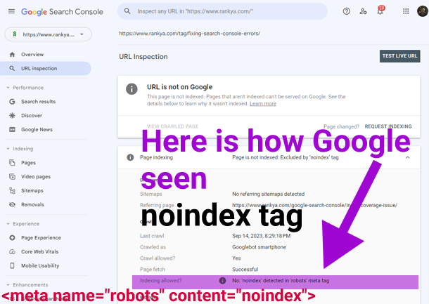 how to fix excluded by noindex tag search console issues