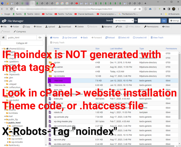 where to analyze in cPanel directory for fixing X Robots Tag noindex