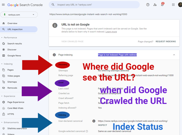 URL Inspection Page Indexing report detail