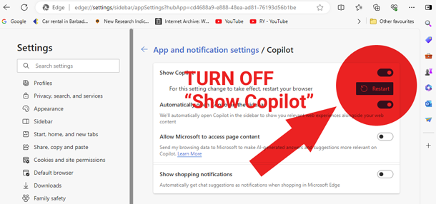 App notification settingsfor Copilot AI