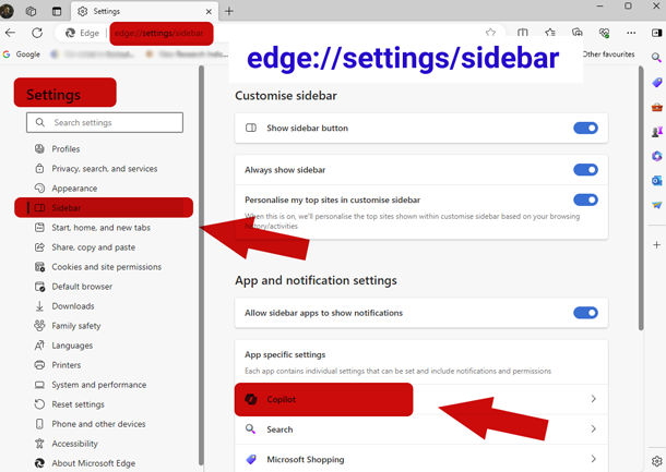 Microsoft Edge browser Setting for Copilot