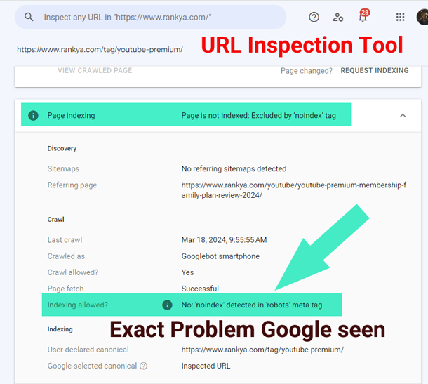 URL inspection tool report