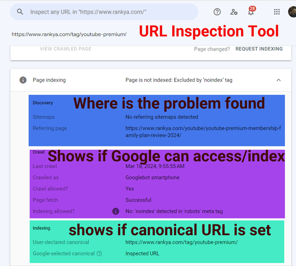 URL inspection tool report