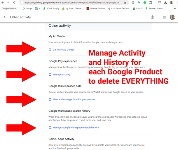 Google Account Activity Controls