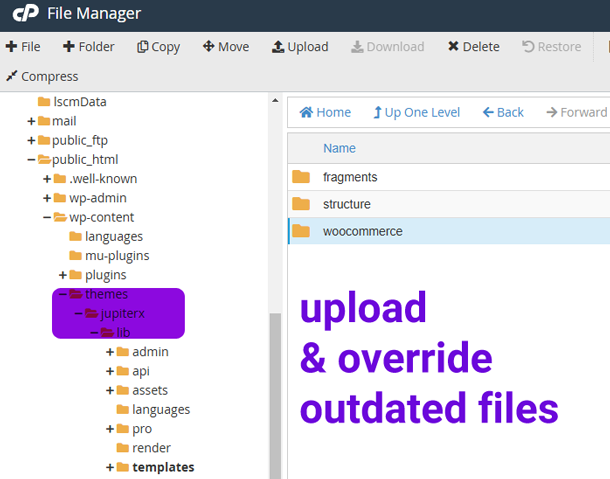 JupiterX Theme folder location in cPanel