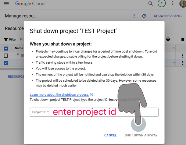 delete project