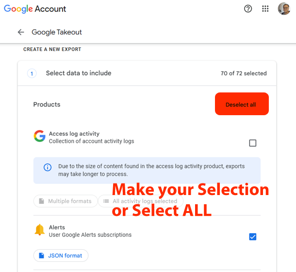 Google Takeout Selection Options