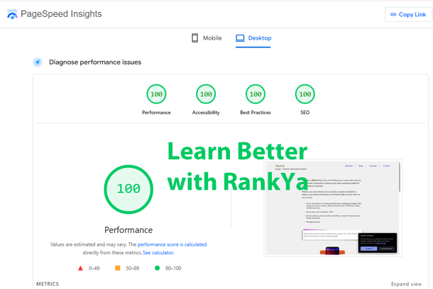 PageSpeed Insights report