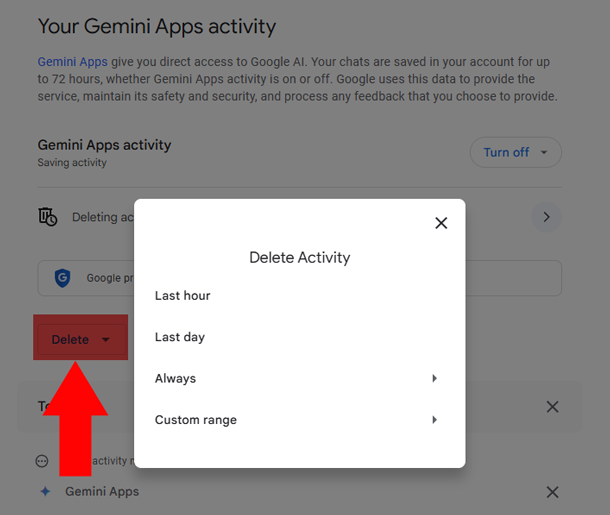 Google Gemini Apps activity