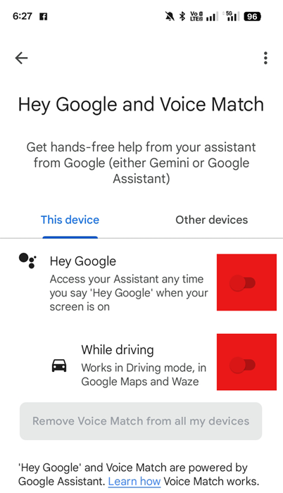 Hey Google and Voice Match Setting