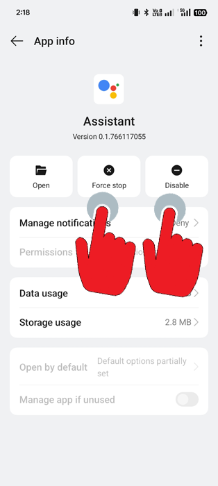 default Google Assistant