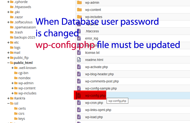 edit wp-config.php