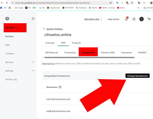 GoDaddy Domain Nameserver Change option