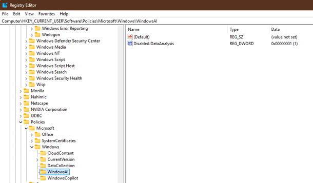 Windows 11 Pro Registry  key for WindowsAI